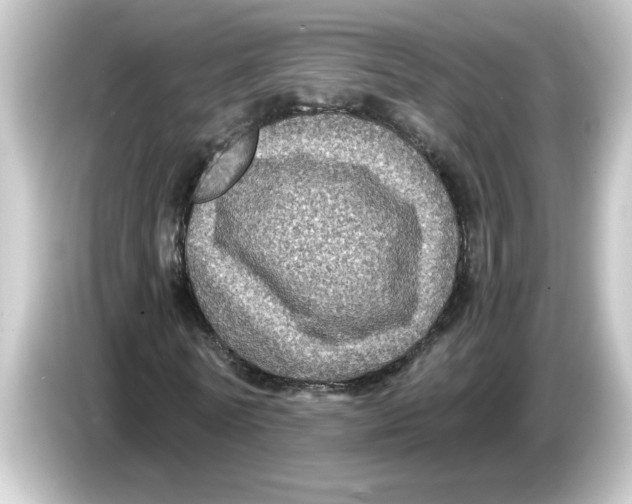 X0000084570770200703161722
