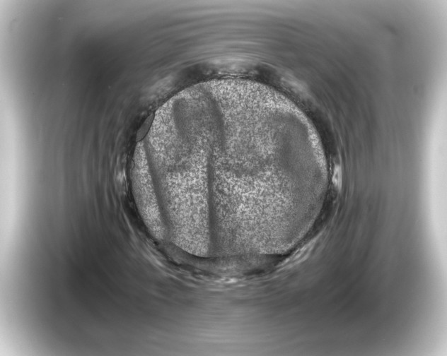 X0000084570771200703161722