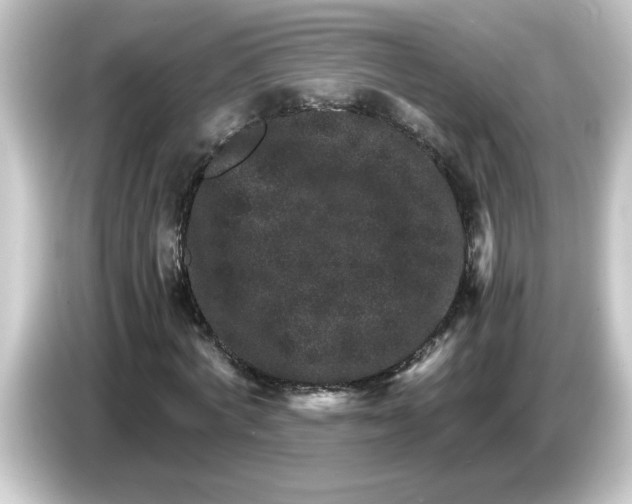 X0000084570772200703161722