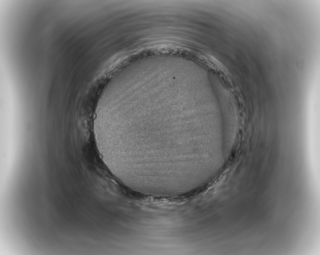 X0000084570774200703161722