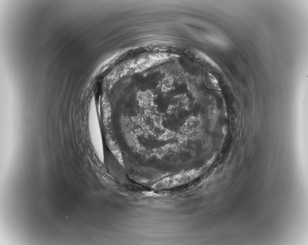 X0000084570775200703161722
