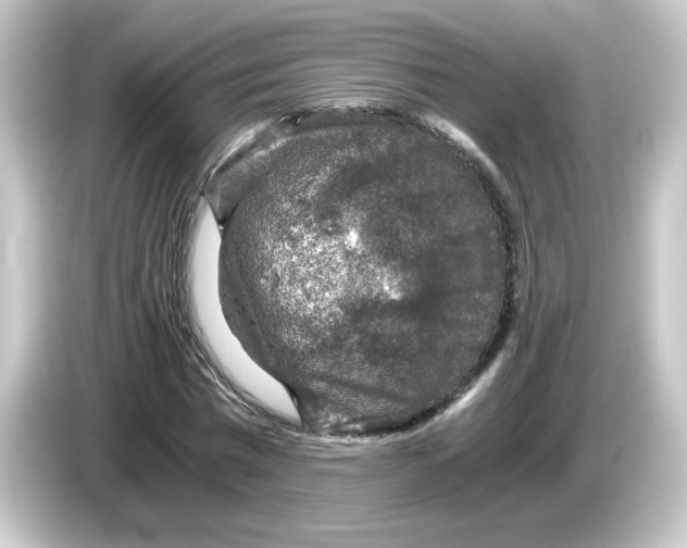 X0000084570777200703161722