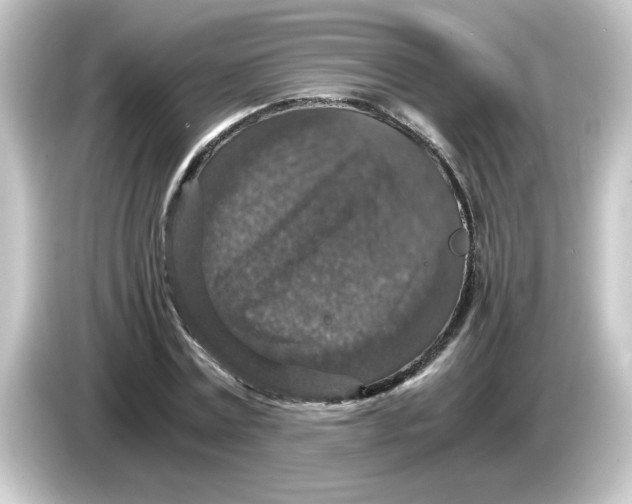 X0000084570779200703161722