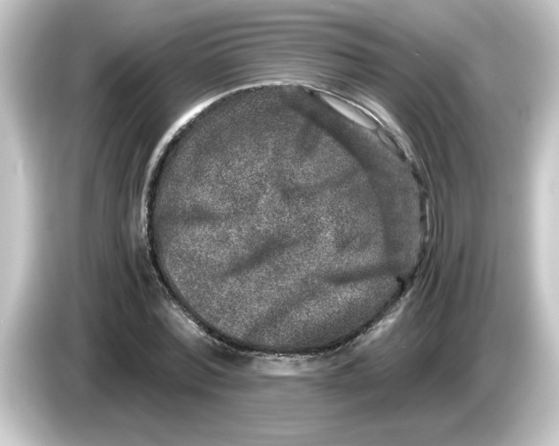 X0000084570780200703161722
