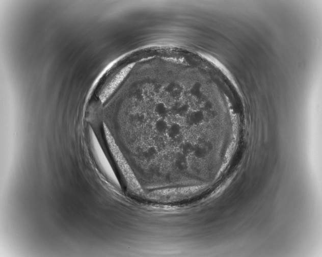X0000084570783200703161721