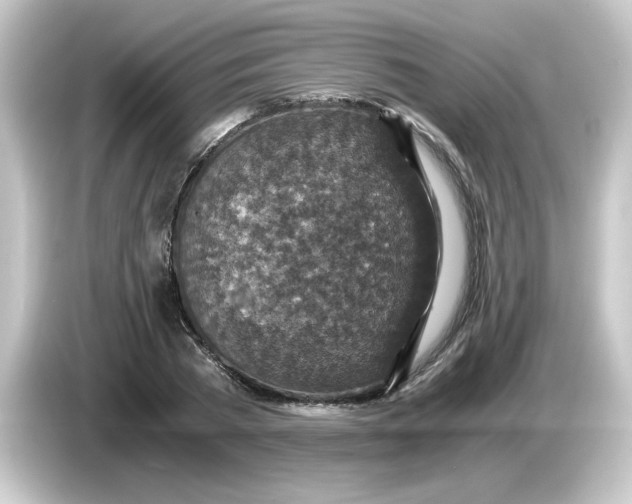 X0000084570785200703161721