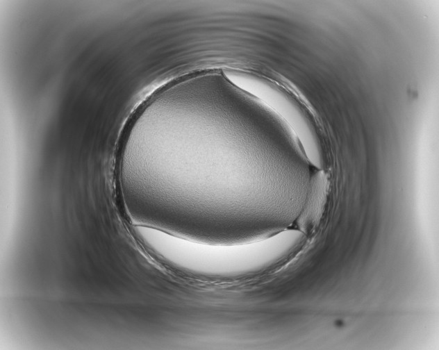 X0000084570786200703161721