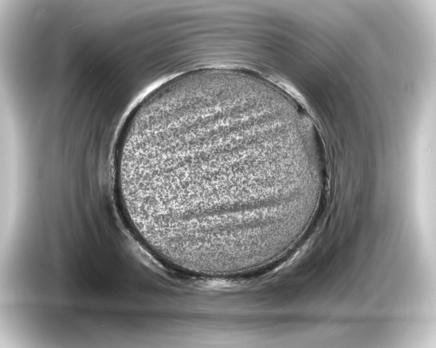 X0000084570787200703161721