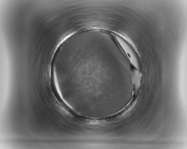 X0000084570790200703161721