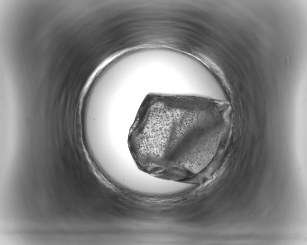 X0000084570792200703161721
