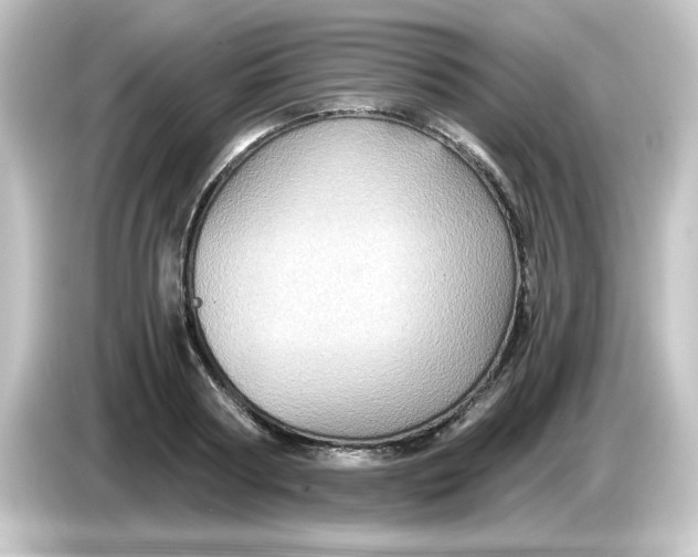 X0000084570794200703161721