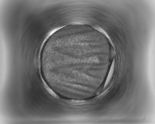 X0000084570795200703161721