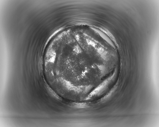 X0000084570798200703161721