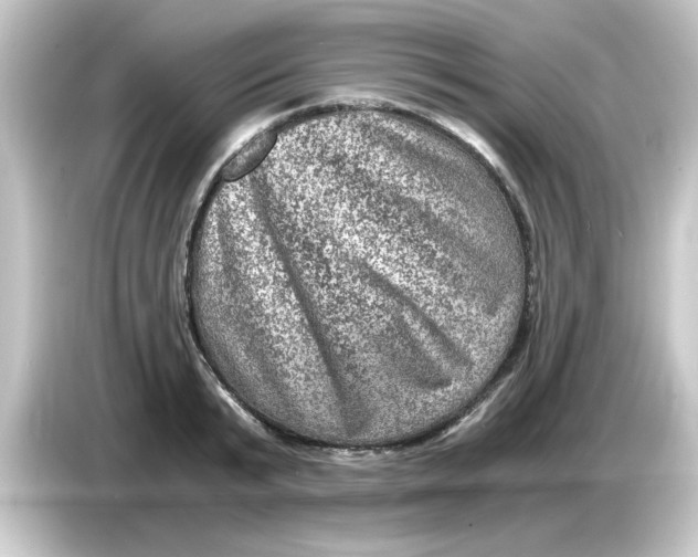 X0000084570799200703161721