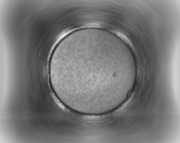 X0000084570800200703161721