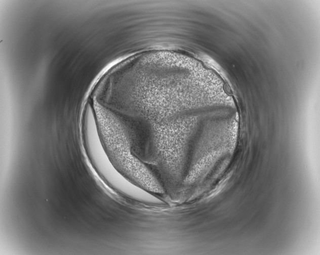 X0000084570803200703161721