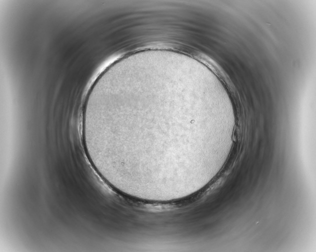X0000084570804200703161721