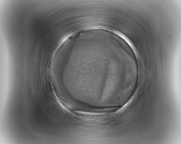 X0000084570809200703161721