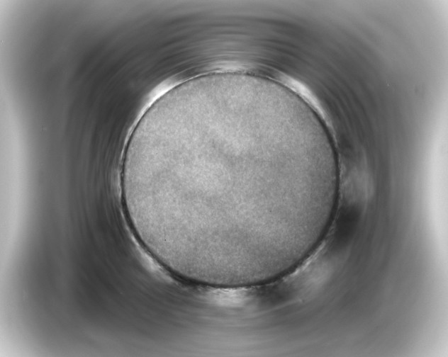 X0000084570810200703161721