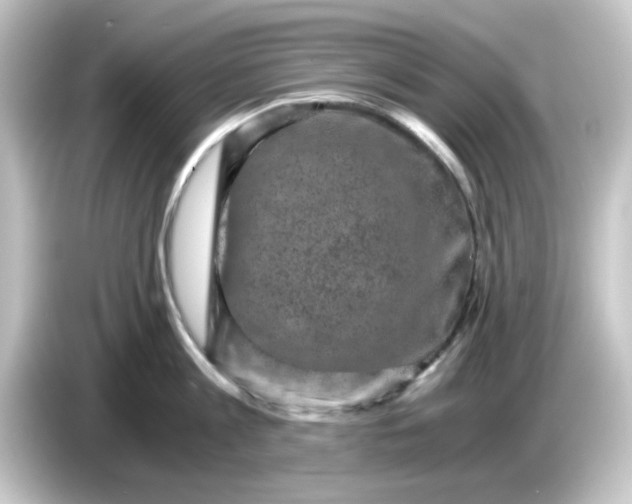 X0000084570813200703161721