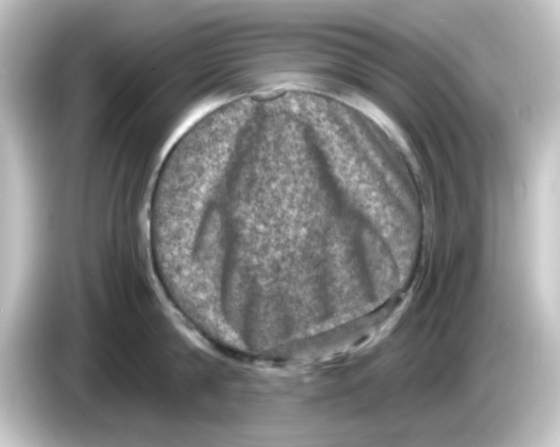 X0000084570814200703161721