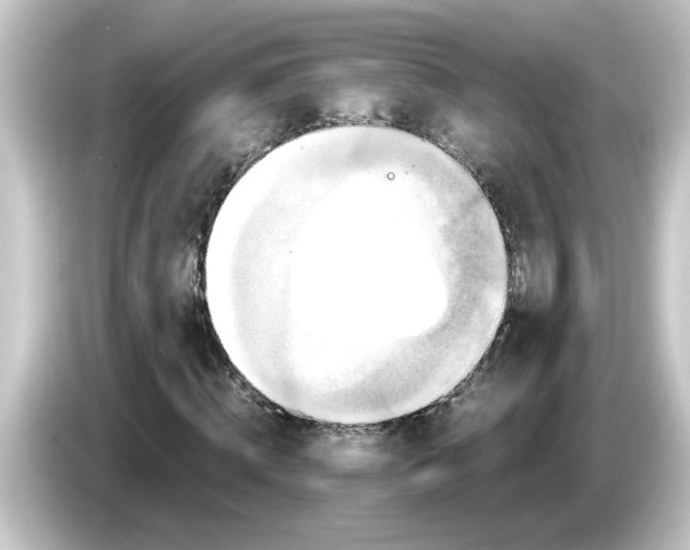 X0000084570820200703161720