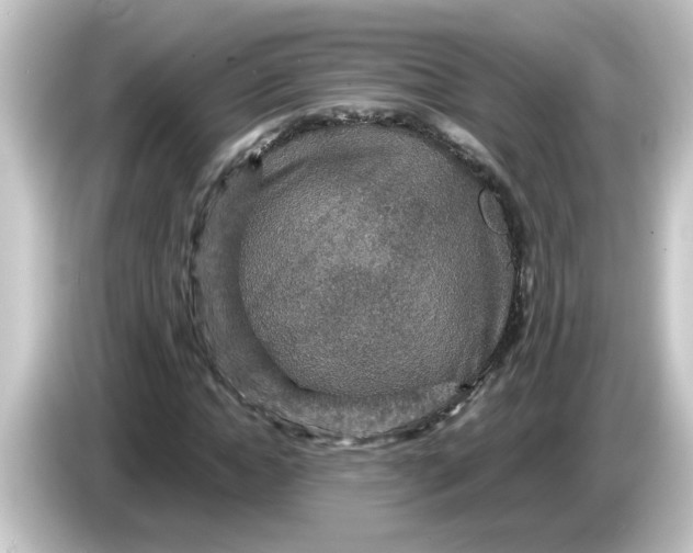 X0000084570822200703161720