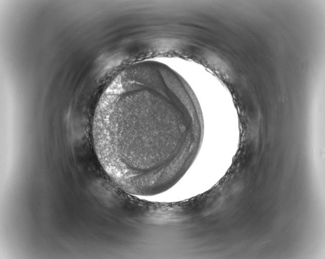 X0000084570824200703161720