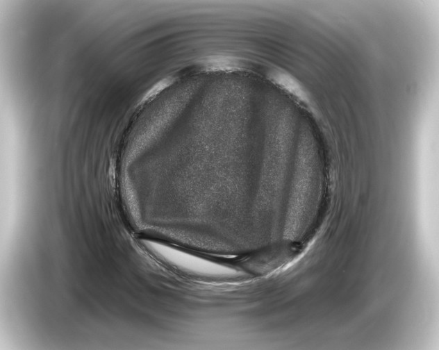X0000084570825200703161721