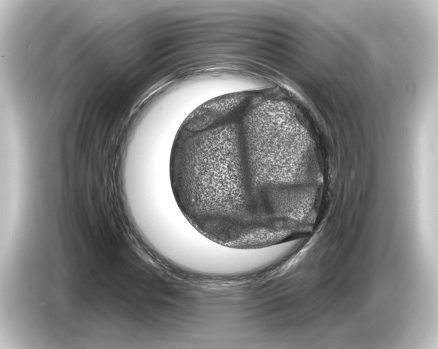 X0000084570826200703161721