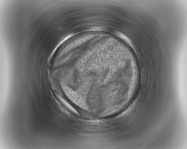 X0000084570827200703161721
