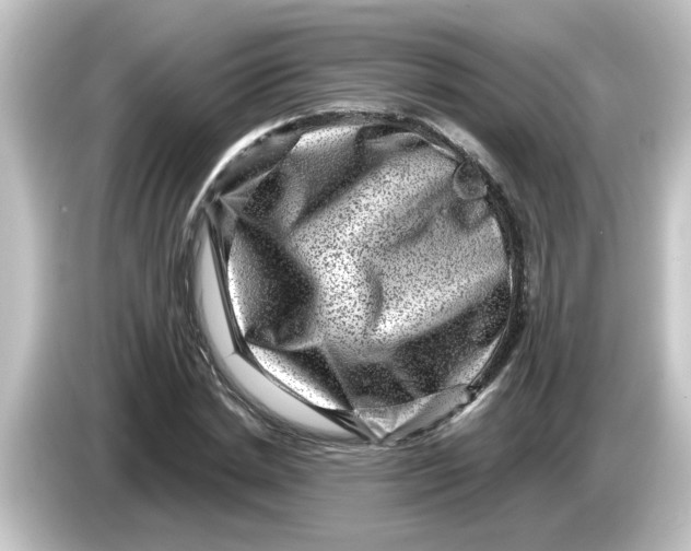 X0000084570830200703161721
