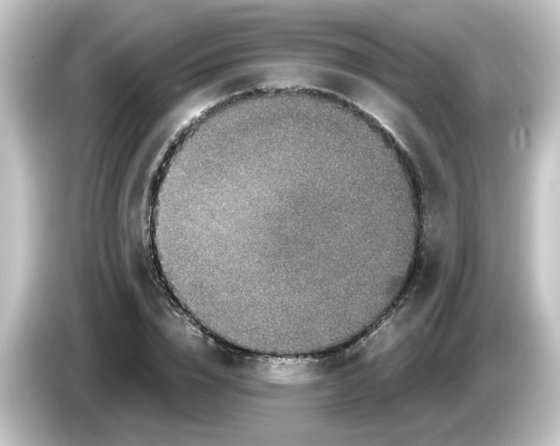X0000084570832200703161721