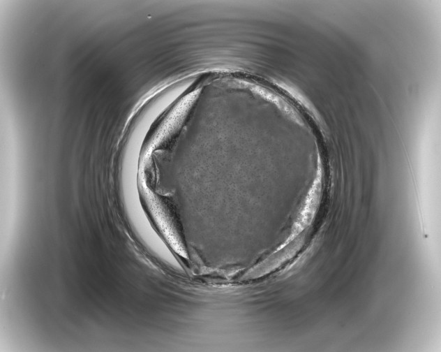X0000084570834200703161721