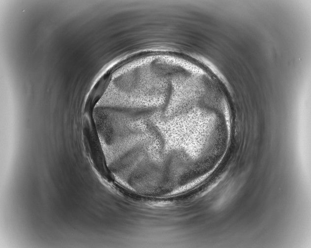 X0000084570837200703161721