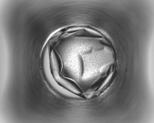 X0000084570838200703161721