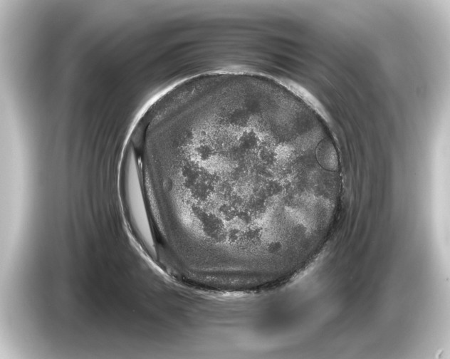 X0000084570839200703161721