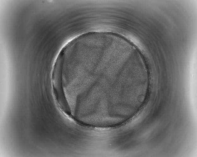X0000084570840200703161721