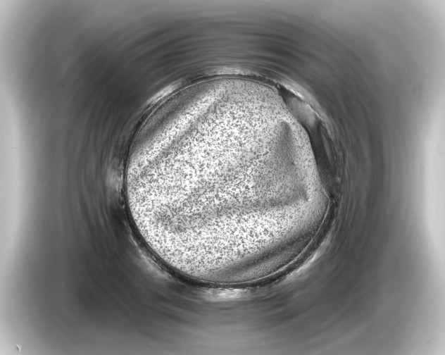 X0000084570841200703161721