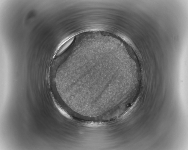 X0000084570842200703161721