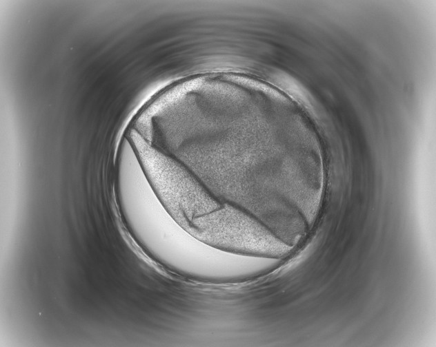 X0000084570844200703161721
