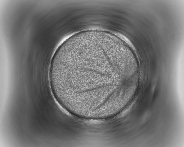 X0000084570847200703161721