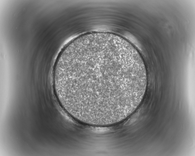 X0000084570848200703161721