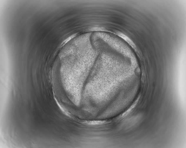 X0000084570849200703161721