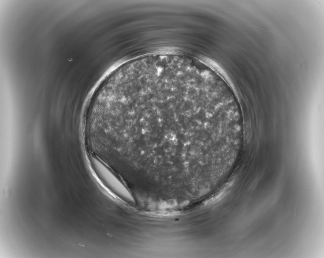 X0000084570851200703161721
