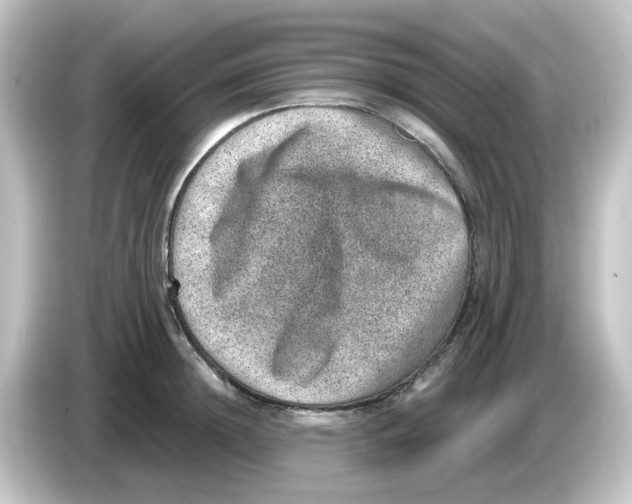 X0000084570852200703161721