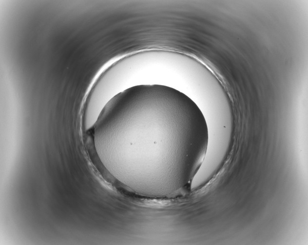 X0000084570854200703161721