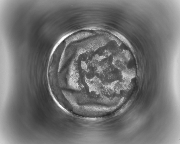X0000084570855200703161721