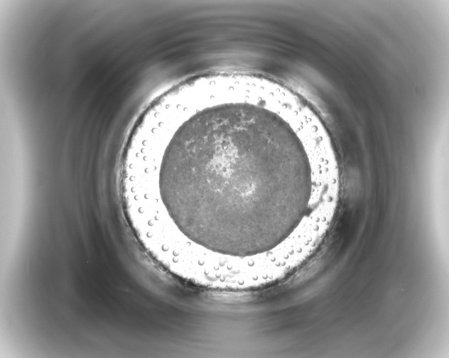 X0000084570856200703161721