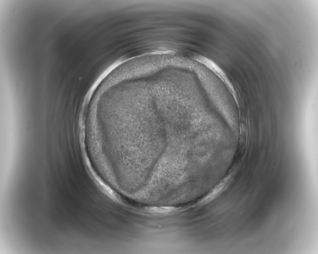 X0000084570859200703161721